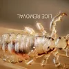 Lice Removal