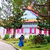hakimsutradara11