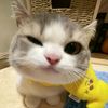 laaww_2
