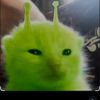 cualqqiehdjfjdjjd