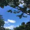 hoanguyen_04