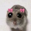 jjoyyllymm_