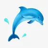 dolphin.tvn