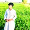 yahya8816