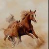 dr_amjad2024