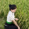 n.hoai24