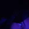 irisscheeseweese