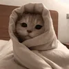 mirlezx