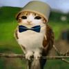 nurik_cool7