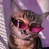 daveeeeeeeeeeeeee3