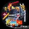 viethatran159