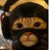 univer_xce