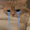 .20tuoi