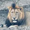 mimi7tribeofjudah