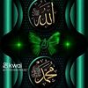user7231788470612