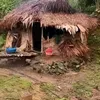 ngoan8246