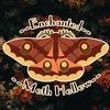 Enchanted Moth Hollow