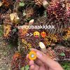 hendy_0226