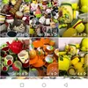 habibat_albasha90