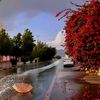 aimanzohaib4