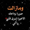 am__ali017