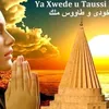 afrin_paradies