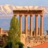 salam.abbas56