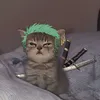 prankbrokevin