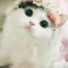 meryem.cakir3