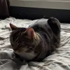 thomassolvang67