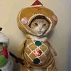 chimichangabriel
