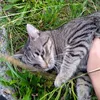greta.e.mattia010
