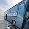 عليوي الاصيل