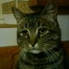 pez.0.3