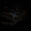 she2stars2
