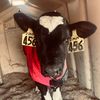 farm5142