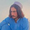 saadull8