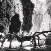 hikingintheabyss