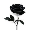 sunflower_himawariii