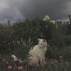 kk_123408
