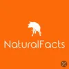 natural__facts