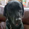 .uk.arthur