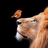 murshad_ki_baatein