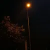 Thích Suy 😶‍🌫️