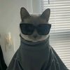 iampibbs