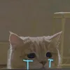 hiepdzcuti