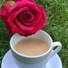 shahzadtabassum786