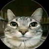 gatosxdddddd