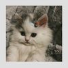 sipendek_220403