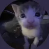 btathucuti